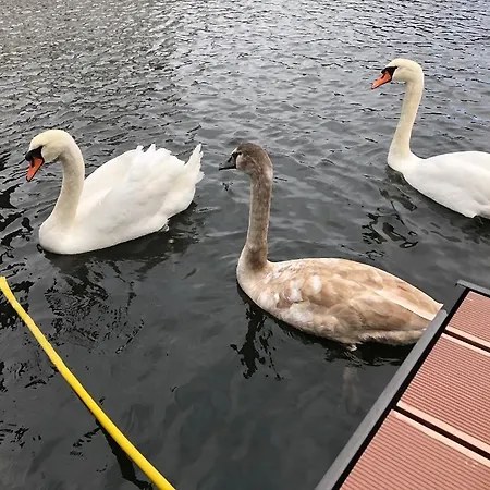 Hotel na wodzie Marinavilla *